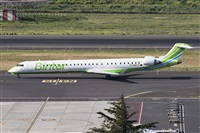 Luciano de la Rosa Gutirrez (Tenerife) Canary Islands Spotting. Click to see full size photo