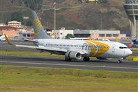 Miguel A. gueda Rguez.  (CANARY ISLANDS SPOTTING). Click to see full size photo