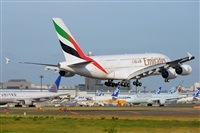 Miguel A. gueda Rguez.  (CANARY ISLANDS SPOTTING). Click to see full size photo