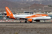 ©Alfonso Solís - Asociación Canary Islands Spotting. Click to see full size photo ©Alfonso Solís - Asociación Canary Islands Spotting. Click to see full size photo