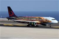 Alfonso Sols - Asociacin Canary Islands Spotting. Haz click para ampliar