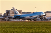 Javier de la Cruz - CANARY ISLANDS SPOTTING. Click to see full size photo
