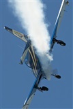 EC-ISM. Click to see full size photo