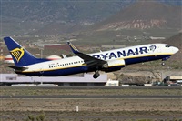 Alfonso Sols - Asociacin Canary Islands Spotting. Click to see full size photo