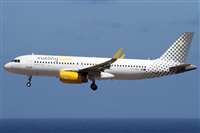©Alfonso Solís - Asociación Canary Islands Spotting. Click to see full size photo ©Alfonso Solís - Asociación Canary Islands Spotting. Click to see full size photo