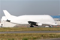 Adrin Alonso Lemes - Lanzarote Spotters. Click to see full size photo