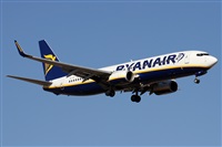 Alfonso Sols - Asociacin Canary Islands Spotting. Haz click para ampliar