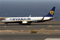 Alfonso Sols - Asociacin Canary Islands Spotting. Click to see full size photo