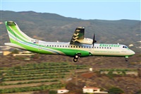 Miguel A. gueda Rguez.  (CANARY ISLANDS SPOTTING). Click to see full size photo