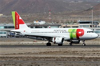 Alfonso Sols - Asociacin Canary Islands Spotting. Haz click para ampliar