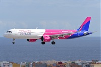 Miguel A. gueda Rguez.  (CANARY ISLANDS SPOTTING). Click to see full size photo