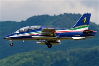 Tams. Click to see full size photo