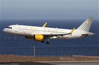 ©Alfonso Solís - Asociación Canary Islands Spotting. Click to see full size photo ©Alfonso Solís - Asociación Canary Islands Spotting. Click to see full size photo