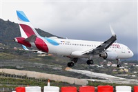 Miguel A. gueda Rguez.  (CANARY ISLANDS SPOTTING). Click to see full size photo