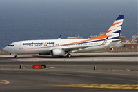 ©Alfonso Solís - Asociación Canary Islands Spotting. Click to see full size photo ©Alfonso Solís - Asociación Canary Islands Spotting. Click to see full size photo