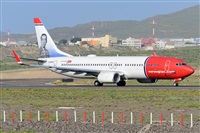 Miguel A. gueda Rguez.  (CANARY ISLANDS SPOTTING). Click to see full size photo
