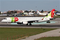 ©Alfonso Solís - Asociación Canary Islands Spotting. Click to see full size photo ©Alfonso Solís - Asociación Canary Islands Spotting. Click to see full size photo