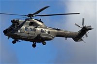calco7. Click to see full size photo