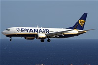 Alfonso Sols - Asociacin Canary Islands Spotting. Click to see full size photo