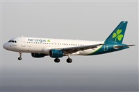 ©Alfonso Solís - Asociación Canary Islands Spotting. Click to see full size photo ©Alfonso Solís - Asociación Canary Islands Spotting. Click to see full size photo