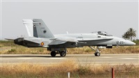 Florencio Martn Melin - Lanzarote Spotters. Click to see full size photo