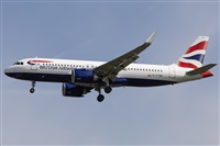 ©Román A. Pérez. Click to see full size photo ©Román A. Pérez. Click to see full size photo