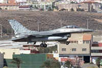 �Adri�n Alonso Lemes - Lanzarote Spotters. Click to see full size photo