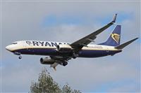 �A. Torres. Click to see full size photo