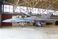 �Luis Mart�n Garcia. AIRE.org. Click to see full size photo