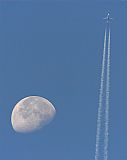 scar Laborda Snchez - IBERIAN SPOTTERS. Haz click para ampliar
