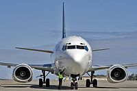 Javier de la Cruz - CANARY ISLANDS SPOTTING. Click to see full size photo