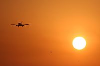 Jos Miguel Bernases - Noisy Spotters. Click to see full size photo