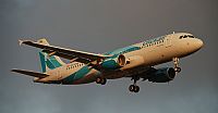 Rubn Gil - Noisy Spotters. Click to see full size photo