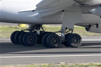 ALAMO AIRLINES.CANARY ISLANDS SPOTTING. Click to see full size photo