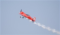 Adrin Chapela Cordeiro - Gallaecia Spotters. Click to see full size photo