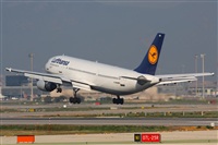 Rodrigo Carvalho - Noisy Spotters. Click to see full size photo