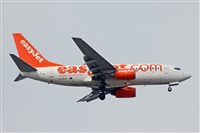 Miguel A. gueda Rguez.  (CANARY ISLANDS SPOTTING). Click to see full size photo
