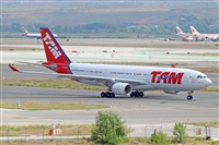 Miguel A. gueda Rguez.  (CANARY ISLANDS SPOTTING). Haz click para ampliar