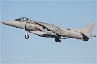 Javier Bozzino Barbudo. Click to see full size photo