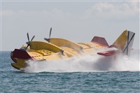 Miguel A. Snchez. Click to see full size photo