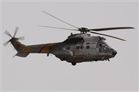 Alfonso Sols - Asociacin Canary Islands Spotting. Click to see full size photo