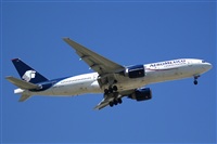 H.volar. Click to see full size photo