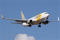 Alfonso Sols - Asociacin Canary Islands Spotting. Haz click para ampliar