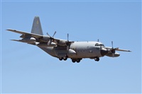 Juan Cruz Menndez-Gran Canaria Spotters. Click to see full size photo