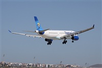 ©Alfonso Solís - Asociación Canary Islands Spotting. Click to see full size photo ©Alfonso Solís - Asociación Canary Islands Spotting. Click to see full size photo