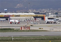 Jos Miguel Bernases - Noisy Spotters. Click to see full size photo