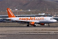 ©Alfonso Solís - Asociación Canary Islands Spotting. Click to see full size photo ©Alfonso Solís - Asociación Canary Islands Spotting. Click to see full size photo