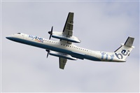 Javier de la Cruz - CANARY ISLANDS SPOTTING. Click to see full size photo