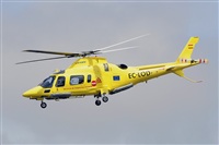 Miguel A. gueda Rguez.  (CANARY ISLANDS SPOTTING). Click to see full size photo