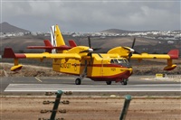 Adrin Alonso Lemes - Lanzarote Spotters. Haz click para ampliar